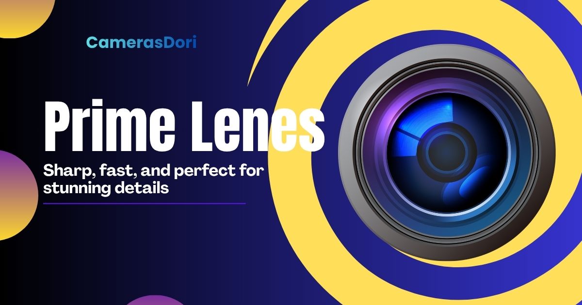 Prime Lenses Prime Lenses