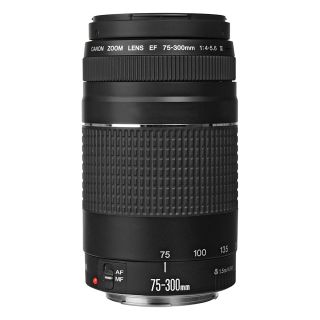 Canon EF 75-300mm f/4-5.6 III Lens