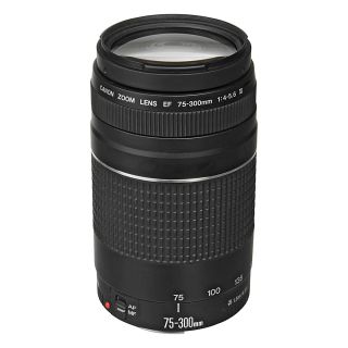 Canon EF 75-300mm f/4-5.6 III Lens