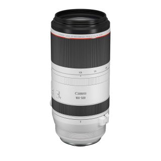 Canon RF 100-500mm f/4.5-7.1L IS USM Lens