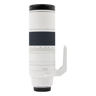 Canon RF 200-800mm f/6.3-9 IS USM Lens