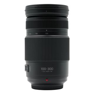 Panasonic 100-300mm f/4.0-5.6 II LUMIX G Vario Lens