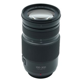 Panasonic 100-300mm f/4.0-5.6 II LUMIX G Vario Lens