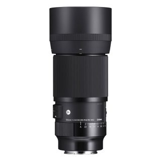 Sigma 105mm f/2.8 Macro DG DN Art Lens for Sony E