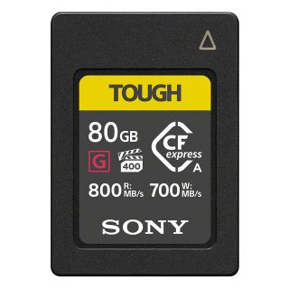 Sony 80GB CEA-G Series CFexpress Type A Memory Card (CEA-G80T)