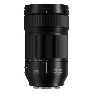 Panasonic LUMIX S 70-300mm f/4.5-5.6 Macro OIS Lens