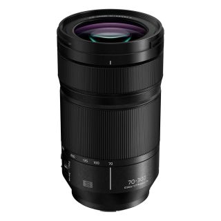 Panasonic LUMIX S 70-300mm f/4.5-5.6 Macro OIS Lens