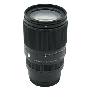Sigma 16-300mm f/3.5-6.7 DC OS Contemporary Lens for Sony E