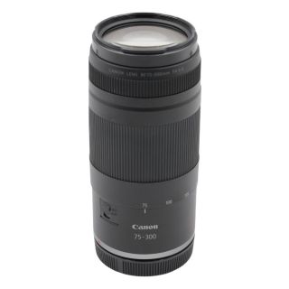 Canon RF 75-300mm f/4-5.6 Lens