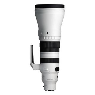Sigma 300-600mm f/4 DG OS Sports for Sony E-Mount