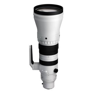 Sigma 300-600mm f/4 DG OS Sports for Sony E-Mount
