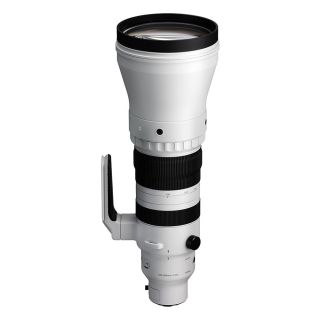Sigma 300-600mm f/4 DG OS Sports for L mount