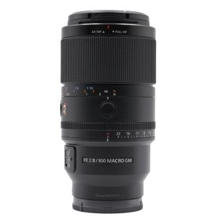 Sony FE 100mm f2.8 Macro G Master OSS Lens (SEL100M28GM)